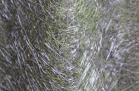 Mugswell fibreglass roof work